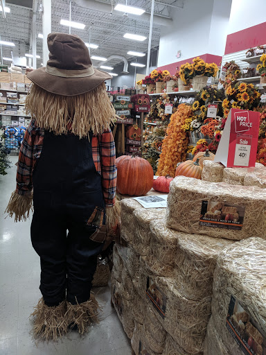 Craft Store «Michaels», reviews and photos, 4345 U.S. 9, Freehold, NJ 07728, USA