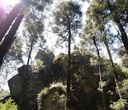 Vivero Del Bosque De Santa Rosa Xochiac photo