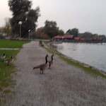Photo n°9 de l'avis de alpheus.a fait le 20/10/2018 à 18:25 sur le  LA GONDOLA - Apericena I Pizzeria I Shop | Lieferservice à Dießen am Ammersee