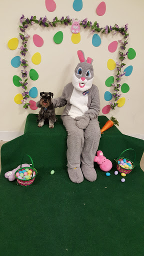 Pet Supply Store «PetSmart», reviews and photos, 1116 S Rochester Rd, Rochester Hills, MI 48307, USA