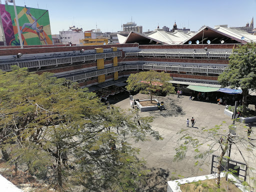 Terrace enclosures Guadalajara