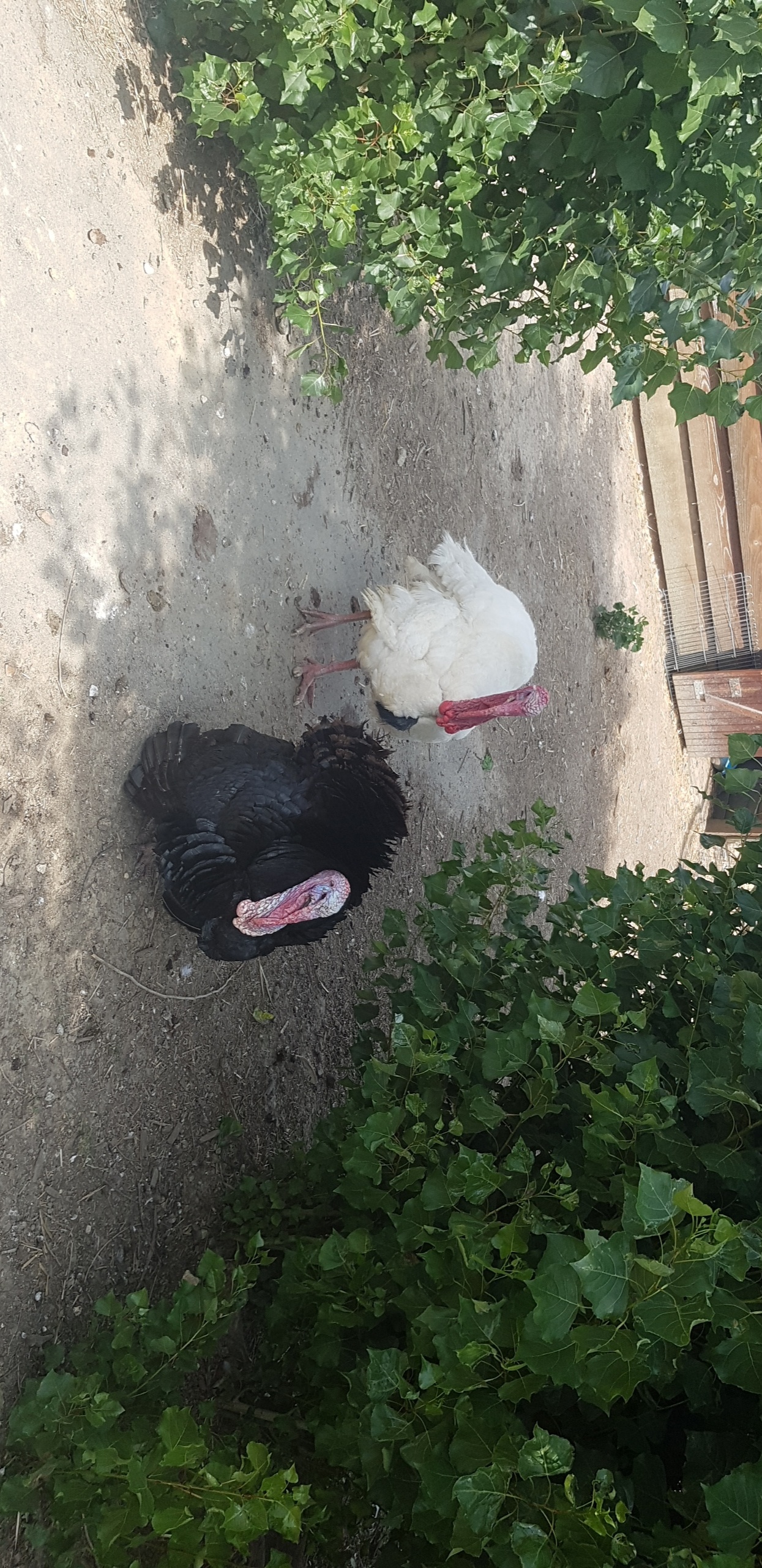 Photo n° 2 de l'avis de L. fait le 18/07/2019 à 15:46