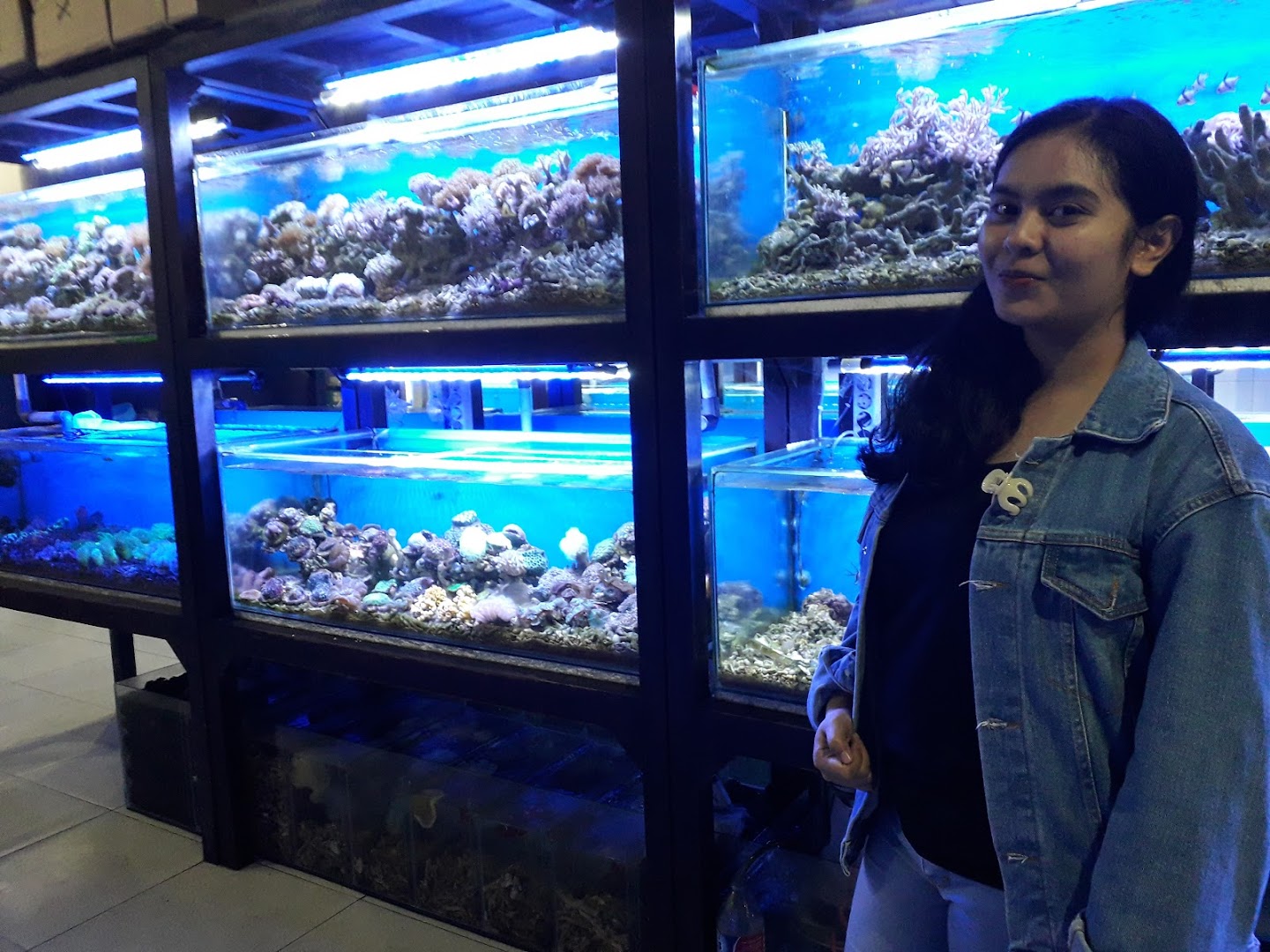 Trend Aquarium Air Laut Yogyakarta Photo