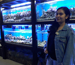 Daphnia Nature Aquarium (DNA) photo