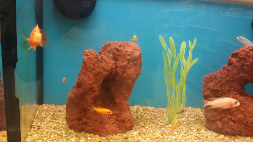 Pet Supply Store «Petco Animal Supplies», reviews and photos, 1820a W Uintah St, Colorado Springs, CO 80904, USA