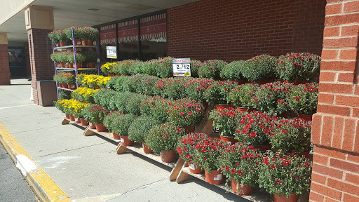 Supermarket «Big Y», reviews and photos, 141 Storrs Rd, Mansfield Center, CT 06250, USA