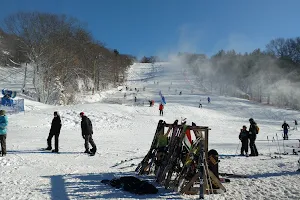 Blue Hills Ski Area image