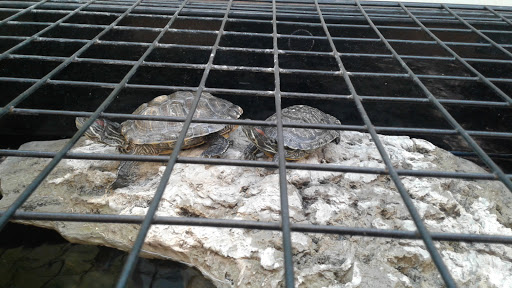 Pet Supply Store «Petco Animal Supplies», reviews and photos, 1150 Concord Ave #160, Concord, CA 94520, USA