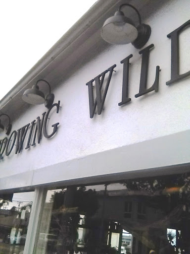 Florist «Growing Wild», reviews and photos, 1201 Highland Ave, Manhattan Beach, CA 90266, USA