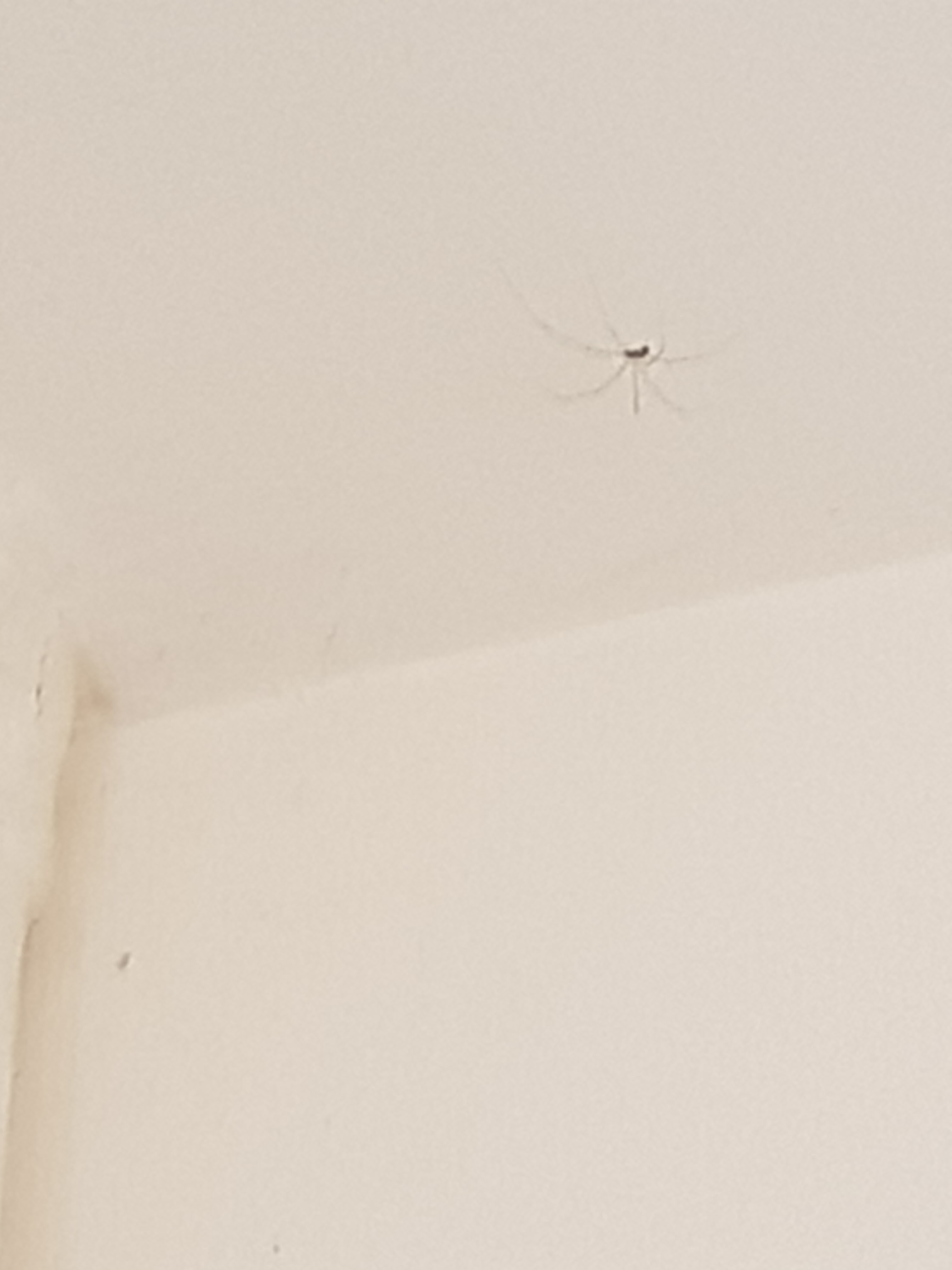 Photo n° 8 de l'avis de Jess.e fait le 16/10/2023 à 20:22