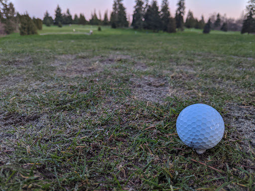 Public Golf Course «Walter Hall Golf Course», reviews and photos, 1226 W Casino Rd, Everett, WA 98204, USA