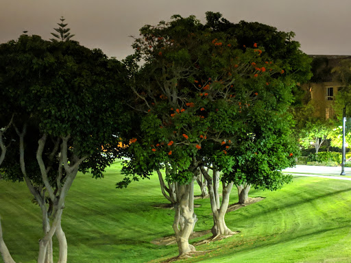 Park «Grand Park», reviews and photos, 6101 City Lights Dr, Aliso Viejo, CA 92656, USA