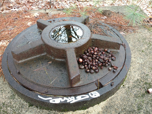 State Park «Breakheart Reservation», reviews and photos, 177 Forest St, Saugus, MA 01906, USA