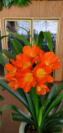 Florist «Niles Flowers & Gift», reviews and photos, 7667 N Milwaukee Ave, Niles, IL 60714, USA