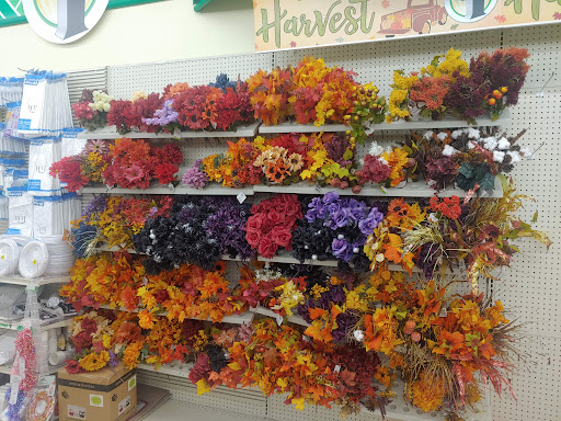 Dollar Store «Dollar Tree», reviews and photos, 20 Poplar Ln, Indian Head, MD 20640, USA