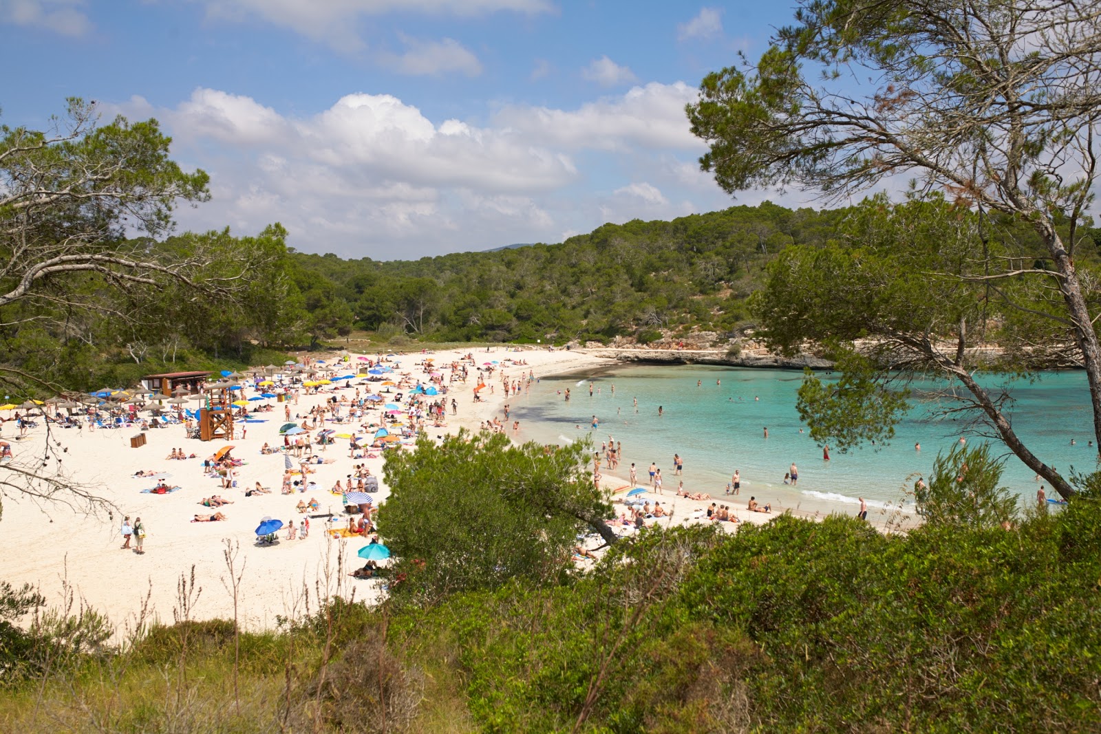 Beach S'Amarador photo #8