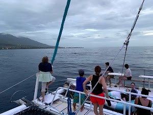 Sea Maui - photo 77