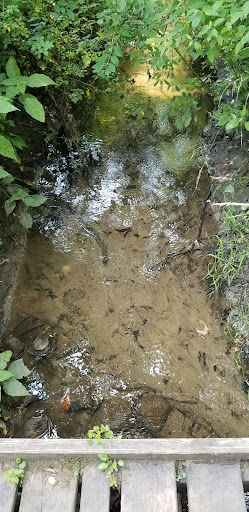 Nature Preserve «Sutherland Nature Sanctuary», reviews and photos, 3998 Diehl Rd, Metamora, MI 48455, USA