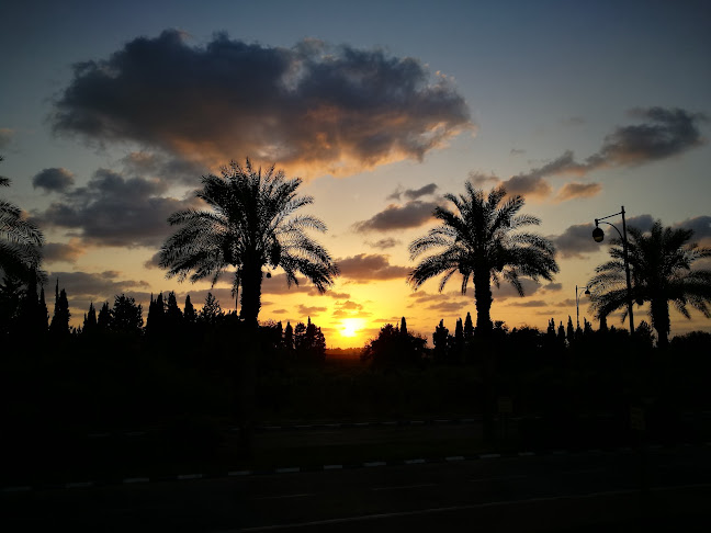 אמפי פארק רעננה - מרכז תרבות