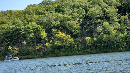 Tourist Attraction «Dinosaur Footprints», reviews and photos, US-5, Holyoke, MA 01040, USA