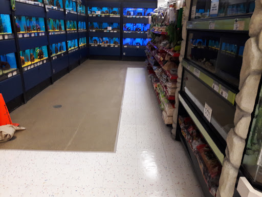 Pet Supply Store «Petco Animal Supplies», reviews and photos, 1919 El Camino Real, Mountain View, CA 94040, USA