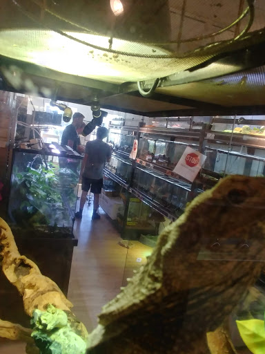Pet Store «Critter Cabana», reviews and photos, 516 E 1st St, Newberg, OR 97132, USA