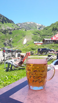 Plats et boissons du Pizzeria La Pierre Aux Loups à Châtel - n°3