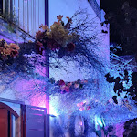 Photo n°3 de l'avis de Wills.h fait le 10/05/2023 à 00:58 sur le  Le Vin de l'Assassin - Bistrot à Syracuse