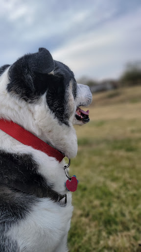 Park «Richfield Park», reviews and photos, 7250 Chapman Rd, North Richland Hills, TX 76182, USA