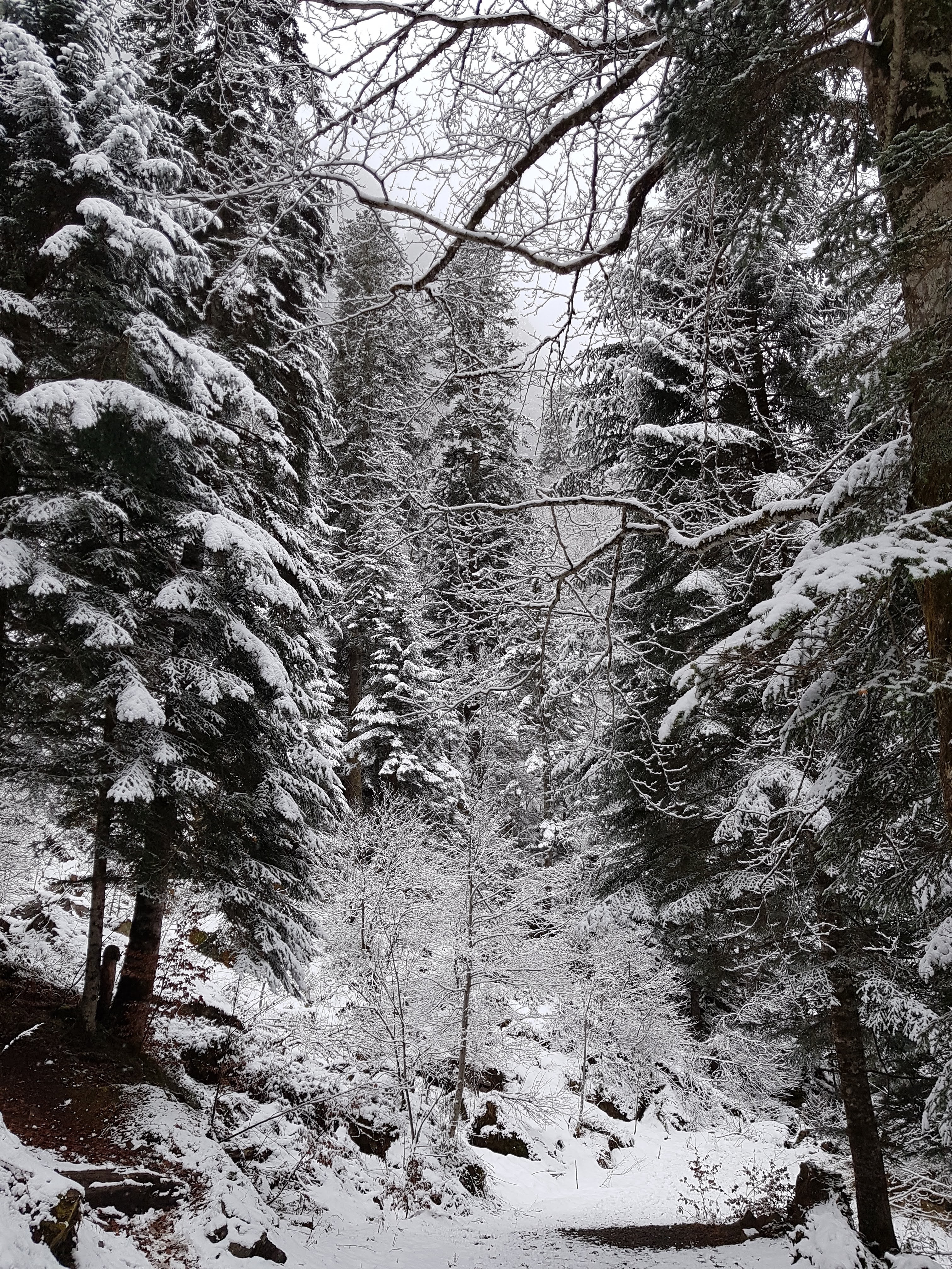 Photo n° 1 de l'avis de Stephane.e fait le 10/04/2019 à 11:03