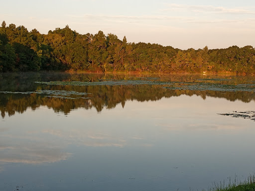 Golf Course «Tampa Palms Golf & Country Club», reviews and photos, 5811 Tampa Palms Blvd, Tampa, FL 33647, USA