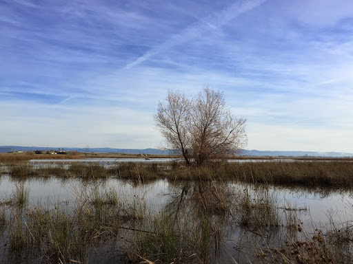 Nature Preserve «Oroville Wildlife Area», reviews and photos, 945 Oro Dam Blvd W, Oroville, CA 95965, USA