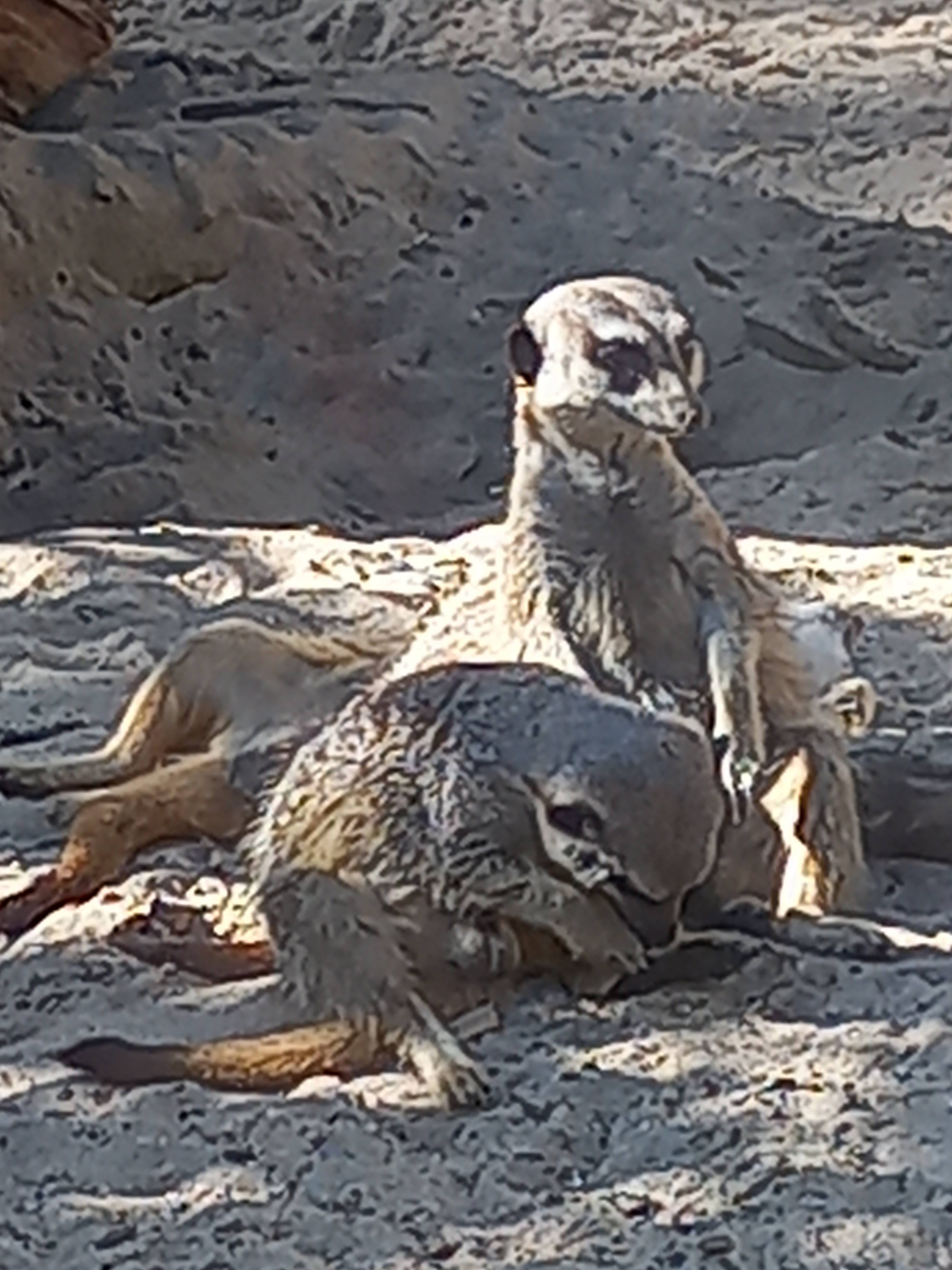 Photo n° 6 de l'avis de Pille.l fait le 26/08/2022 à 11:50