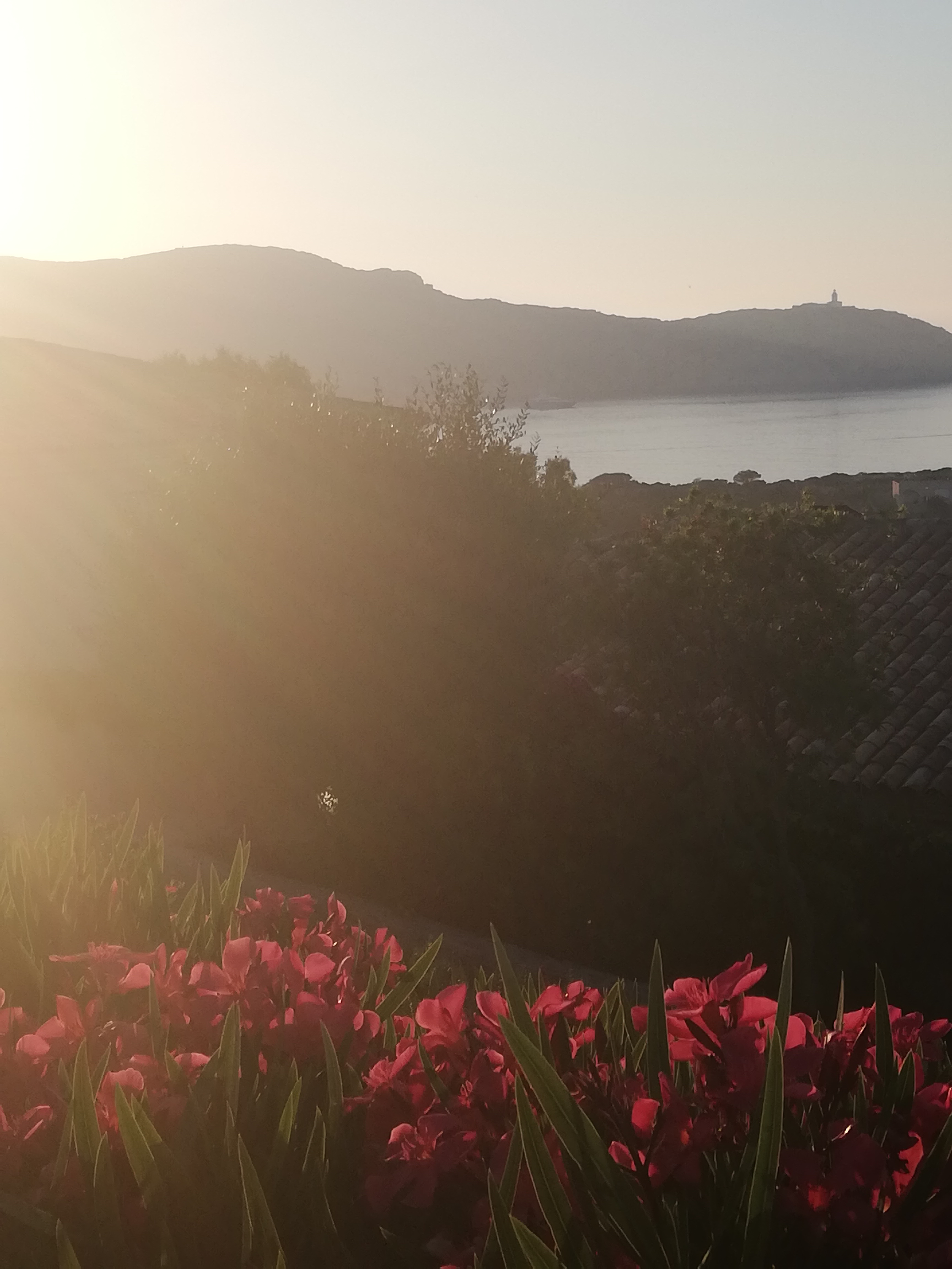 Photo n° 1 de l'avis de Jacqueline.� fait le 10/07/2018 à 16:11