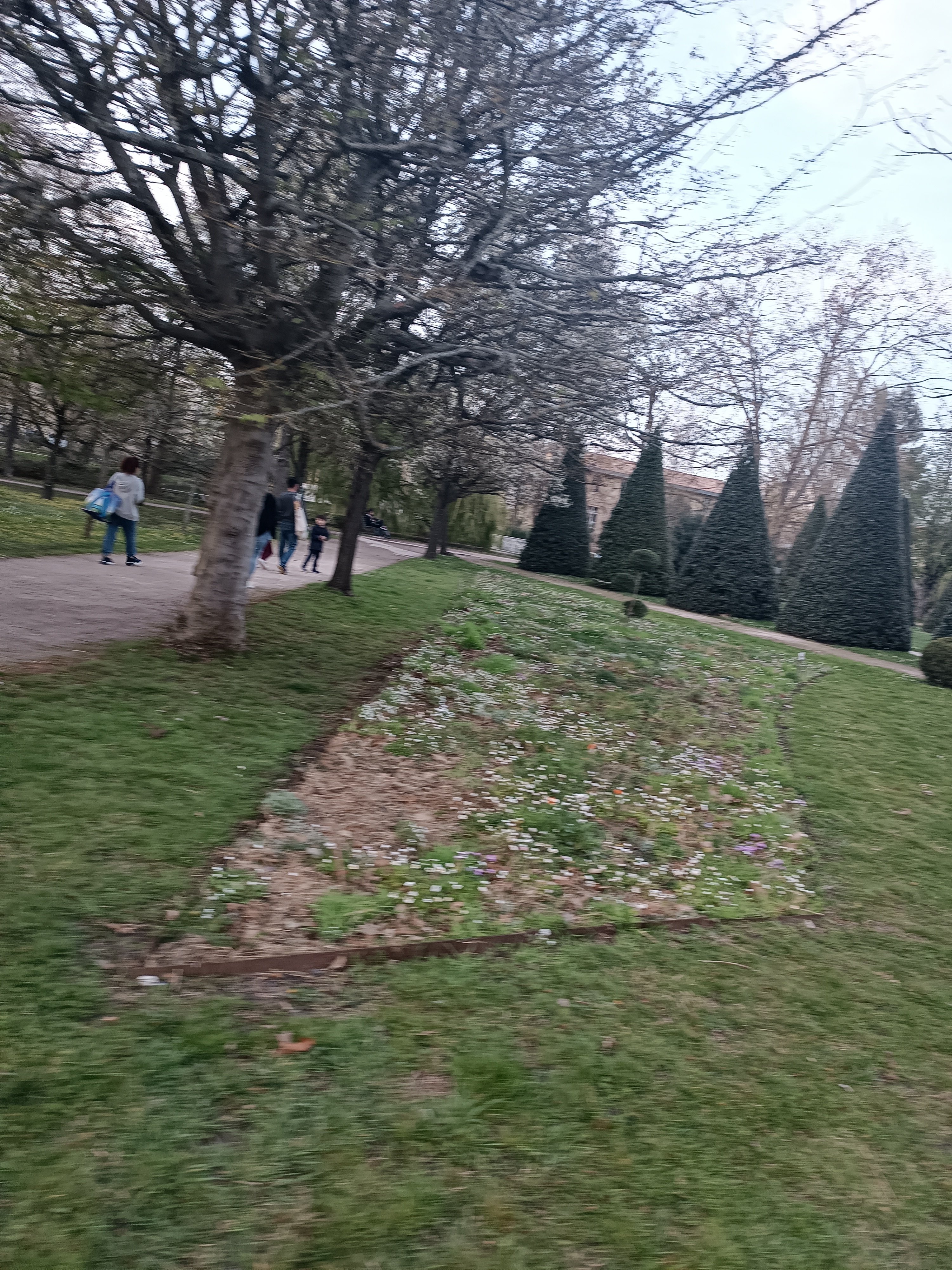 Photo n° 2 de l'avis de abdu. fait le 29/03/2023 à 16:39