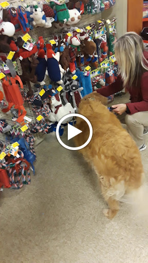 Pet Supply Store «PetSmart», reviews and photos, 5050 SE 14th St, Des Moines, IA 50320, USA