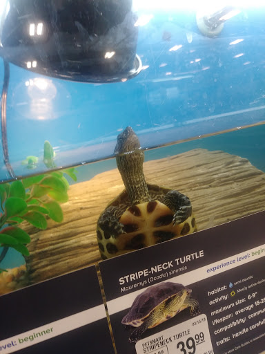 Pet Supply Store «PetSmart», reviews and photos, 2216 E Springs Dr, Madison, WI 53704, USA