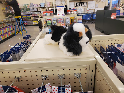 Craft Store «Hobby Lobby», reviews and photos, 2360 S Randall Rd, Algonquin, IL 60102, USA