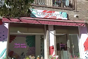 Tropicalismo image