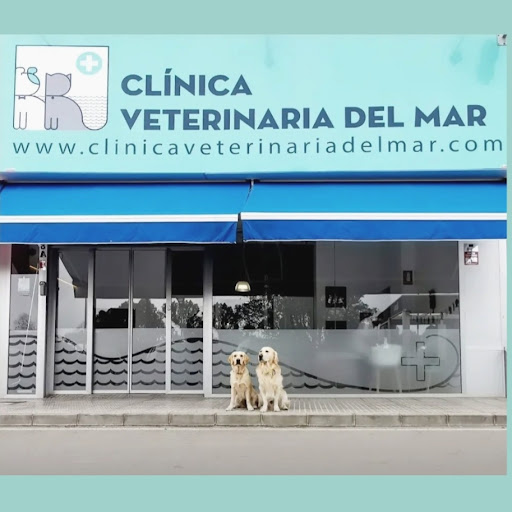 Clínica Veterinaria del Mar en Chiclana de la Frontera
