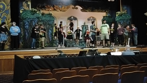 Performing Arts Theater «Cutting Hall Performing Arts Center», reviews and photos, 150 E Wood St, Palatine, IL 60067, USA