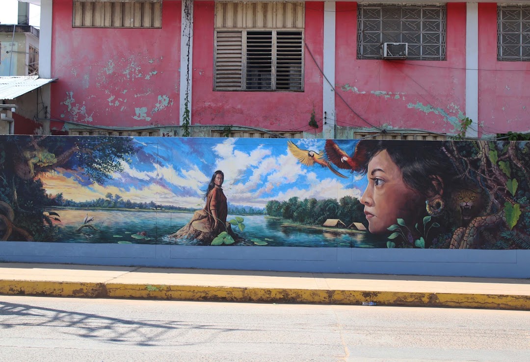 Murales de Expresiones Amazónicas en Pucallpa