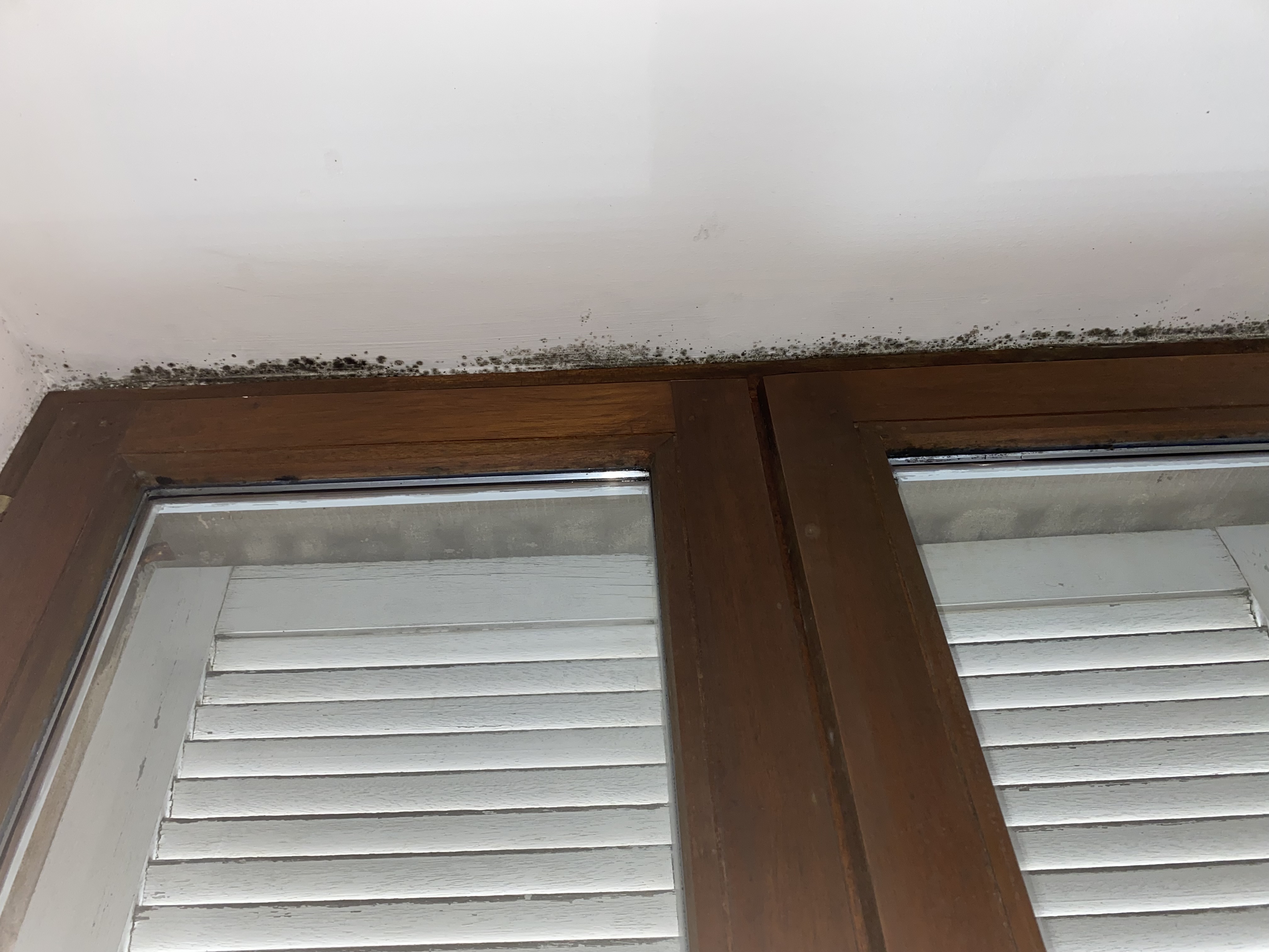 Photo n° 13 de l'avis de Marie.e fait le 15/12/2022 à 11:49