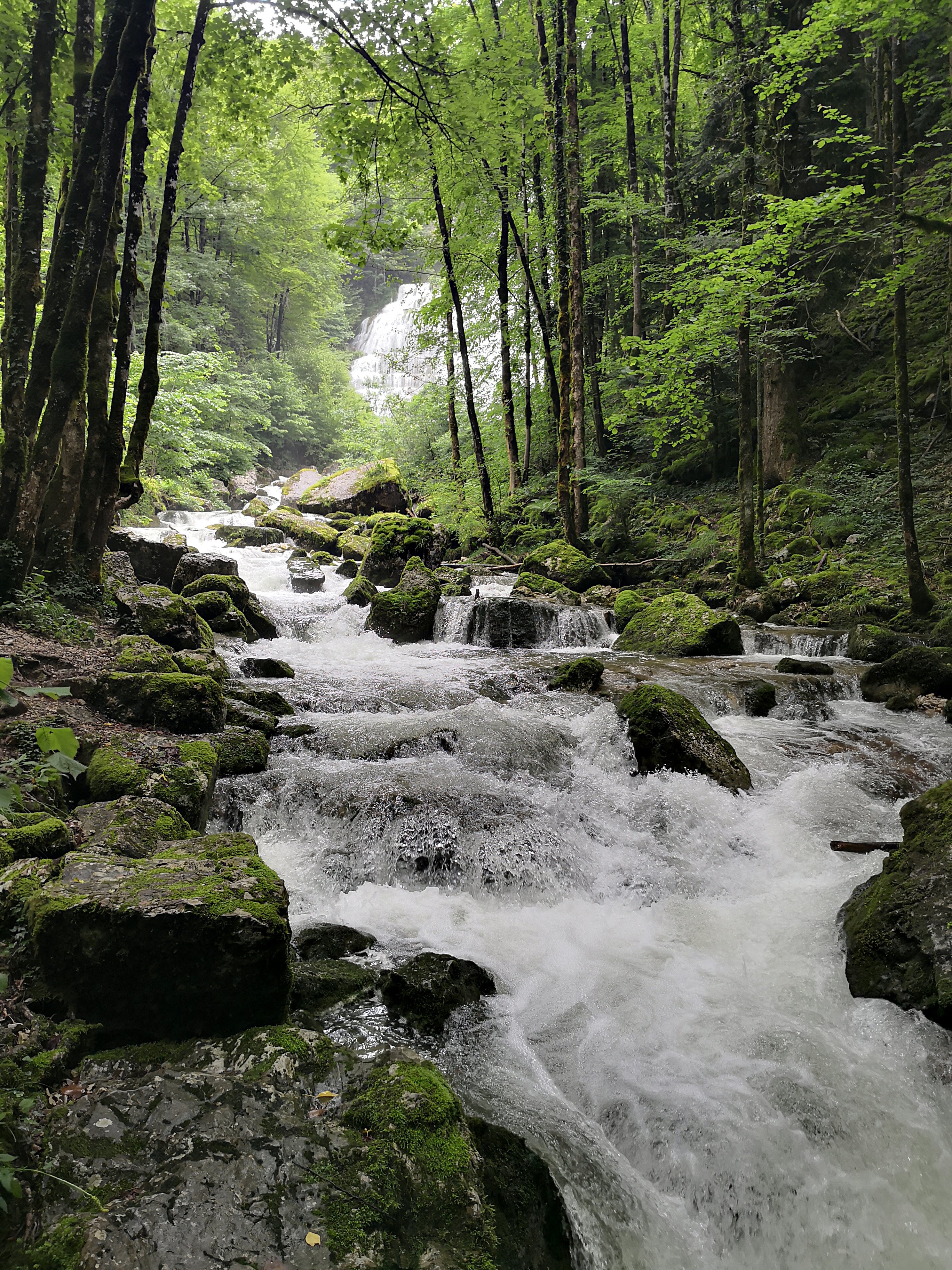 Photo n° 1 de l'avis de Aurélien.r fait le 10/06/2018 à 16:46
