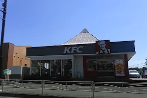 Kentucky Fried Chicken image