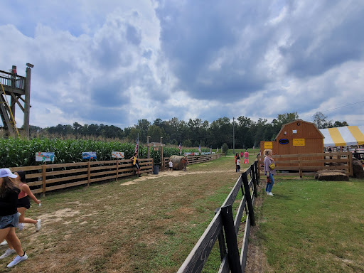 Farm «Buford Corn Maze.», reviews and photos, 4470 Bennett Rd, Buford, GA 30519, USA