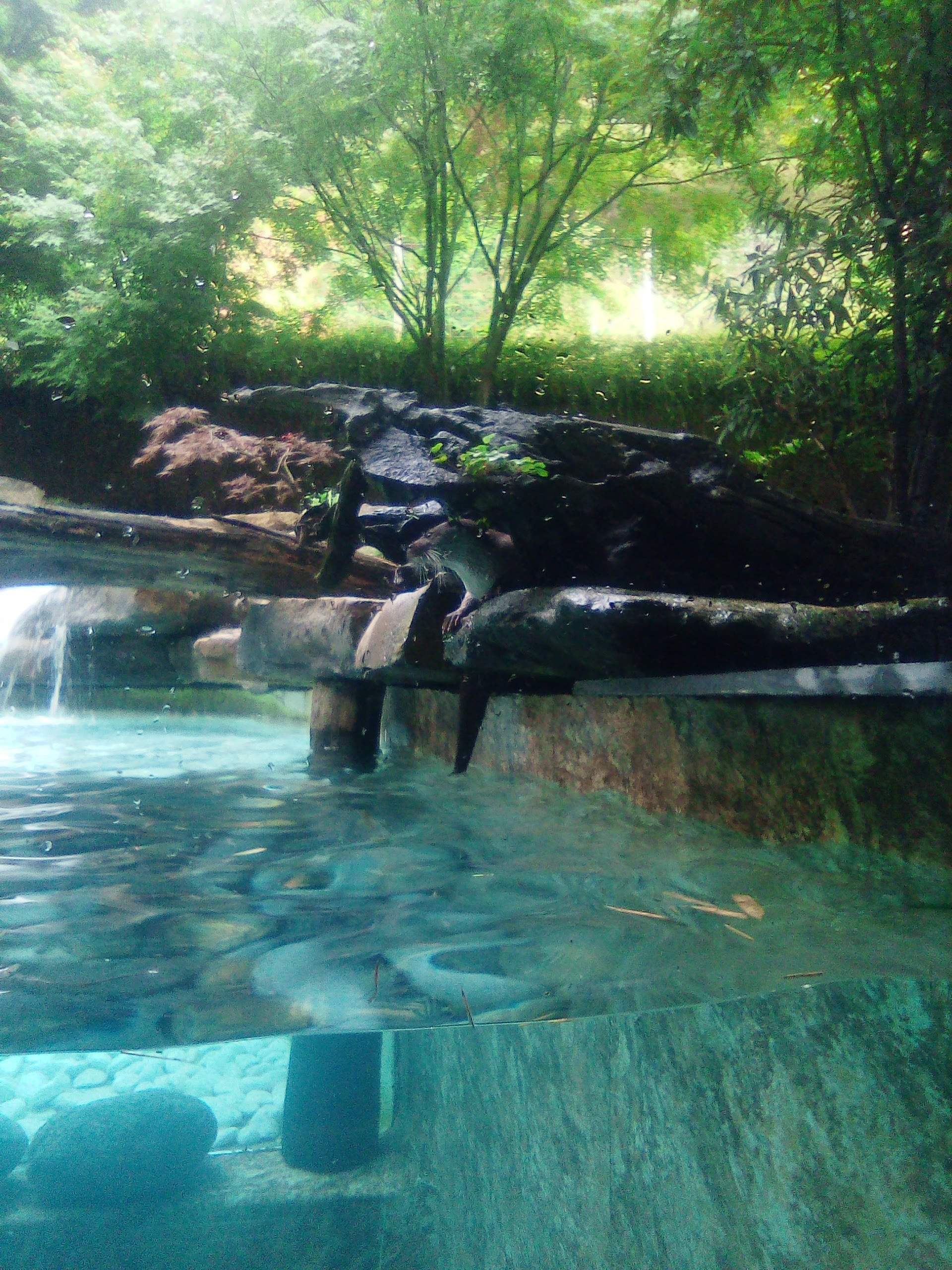 Photo n° 6 de l'avis de Imelda.i fait le 24/08/2019 à 20:04