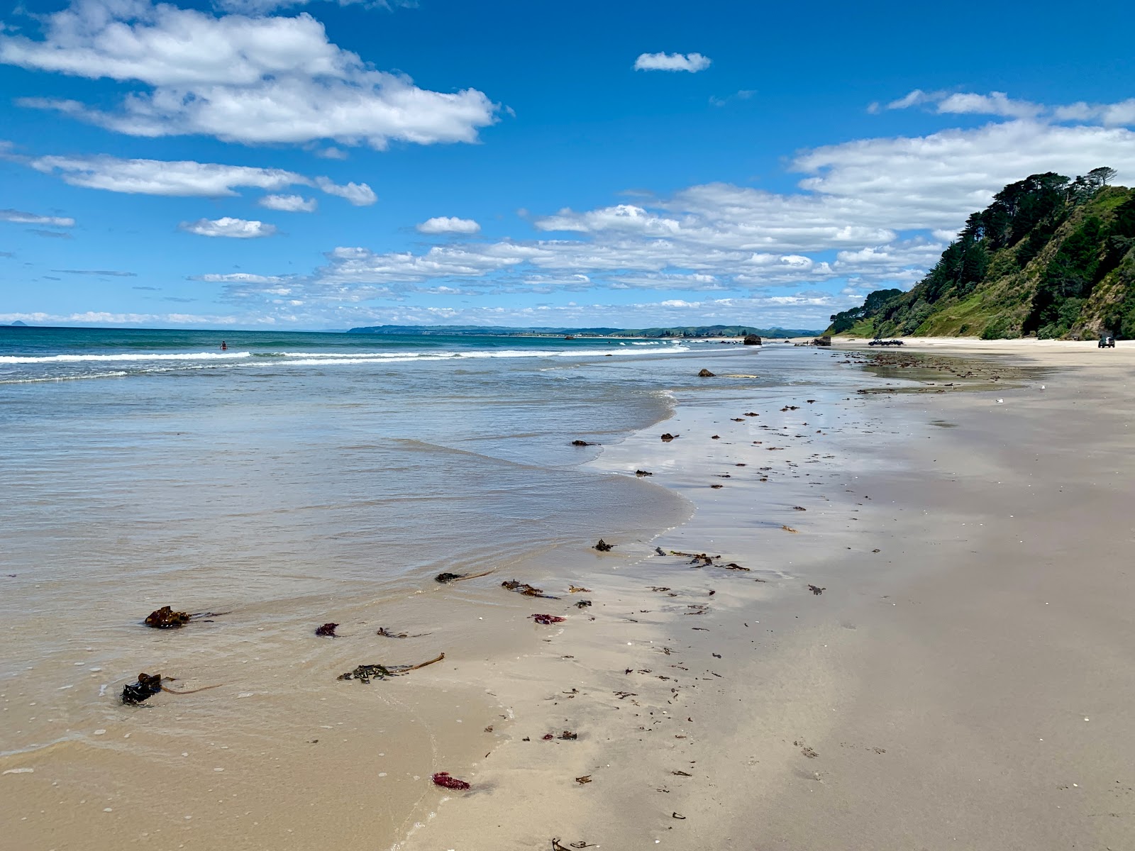 Fotografie cu Newdicks Beach - locul popular printre cunoscătorii de relaxare