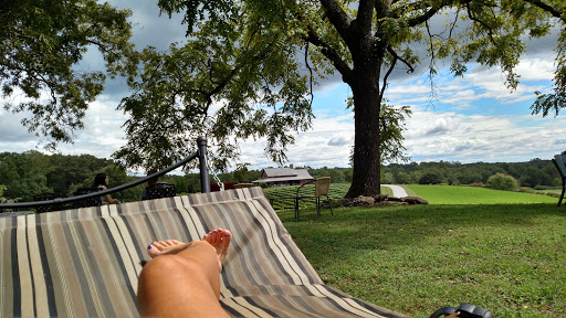 Winery «CeNita Vineyards, Winery & Tasting Room», reviews and photos, 591 Dock Dorsey Rd, Cleveland, GA 30528, USA