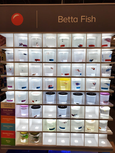 Pet Store «PetSmart», reviews and photos, 727 N Hwy 67, Cedar Hill, TX 75104, USA